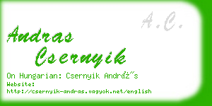 andras csernyik business card